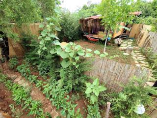 Tiny House Ceviz Kayaköy Jungle Camping - Fethiye - 0
