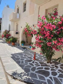 Studio Tsakas - Naxos Chora - 9