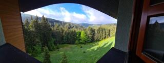 Cihlářka - Apartmán 309 - Pec pod Sněžkou - 9