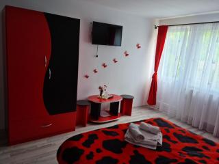 Pensiunea Constanta - Bran - 7