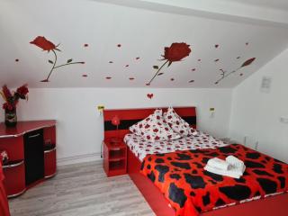 Pensiunea Constanta - Bran - 6