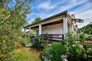 Country house Oasis with private tennis court - Sveti Filip i Jakov - 1