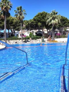 Toscamar dream 84 - 1