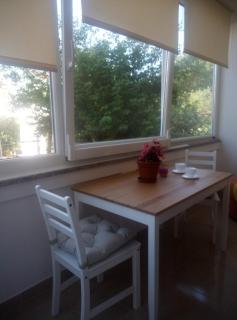 Dragica - 0