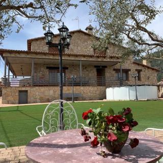 Los Olivos de José - El Barraco - 0