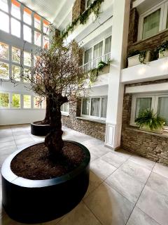Hotel & SPA Bringué - Ordino - 5