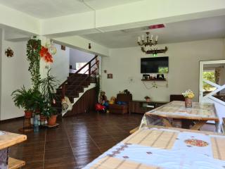Pensiunea Constanta - Bran - 3