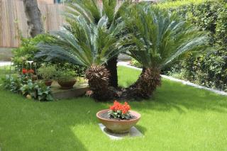 Casa del Tempo, apt+giardino CITRA 010054-LT-0417 - Santa Margherita Ligure - 9
