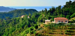 Olivium - La Spezia - 9