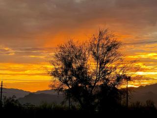 Hidden Gem Retreat in the Heart of Payson - Payson - 9
