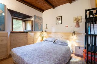 La casa nel bosco-senza auto - Ponte della Venturina - 4