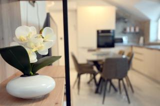 Apartmani Magić - Jalžabet - 6