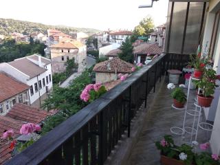 Stefi house - Veliko Tŭrnovo - 4