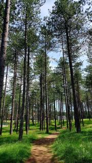 Mundus Apartman Zlatibor - Zlatibor - 1
