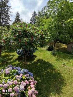 Apartman Jovanovic-Rudnik - 5