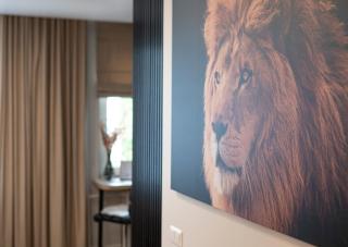 LIONs APARTMENT PALANGA - 7