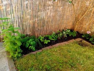 Sunny Sleeps 4 by the Beach with garden patio - Gdańsk Przymorze - Danzig - 1