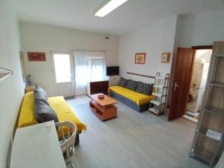 Zica's apartment - Petrovaradin - 5