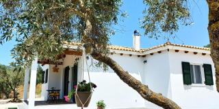 Lily Home_Lefkada ~ Private Country house - 9