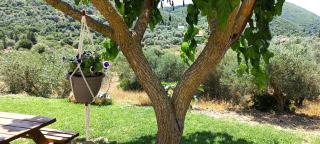Lily Home_Lefkada ~ Private Country house - Kondáraina - 1