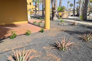 Beautiful garden flat nearly refurbished free WiFi - Corralejo - 3