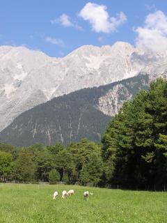Pension Sonnenhof - Mieming - 9