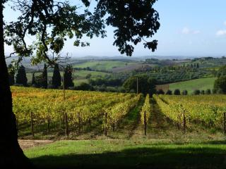 Fattoria del Colle - Trequanda - 4