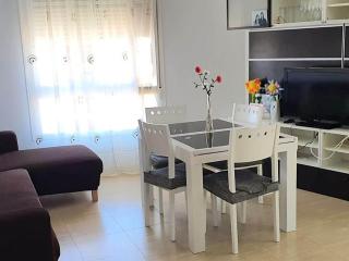 Apartment in Roquetas near the beach - Roquetas de Mar - 8