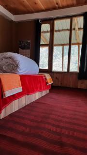 Tirthan Ecostay - 8