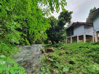 Malulee KhaoSok Resort - Parco Nazionale di Khao Sok - 4