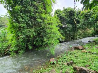 Malulee KhaoSok Resort - Parco Nazionale di Khao Sok - 3