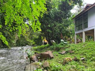 Malulee KhaoSok Resort - Parco Nazionale di Khao Sok - 2