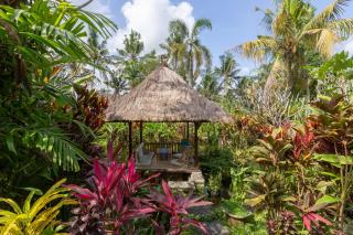 Bali Firefly BnB - Ubud - 8