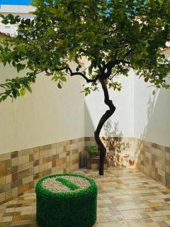 Teste di moro Apartment - Trapani - 2