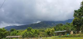 Klov Resort & Spa - Wayanad - 4