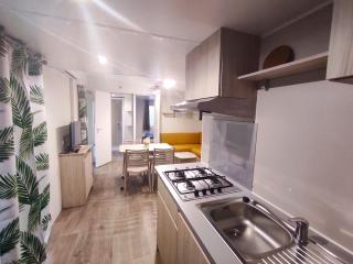 Family's Camping Le Savoy - Challes-les-Eaux - 8