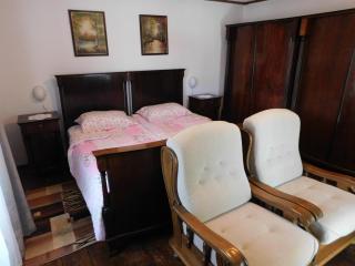Kamnita hiša Stari klesar - Ilirska Bistrica - 4
