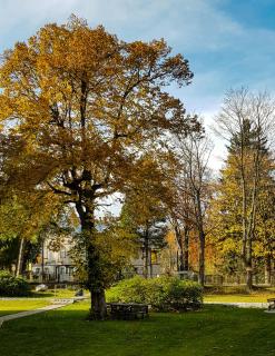 Willa Słoneczko - 6