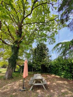 Appartement 4/6 pers, jardin, 6 km de la plage - Saint-Julien-en-Born - 9