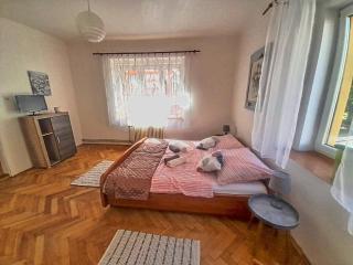 Apartmán Isabel - Děčín - 5