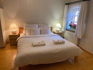 Apartament w XIX-wiecznym Spichlerzu nad Jeziorem z dostępem do parku i widokiem na Dworek Modrzewiowy z 1823 roku - Szteklin - 5