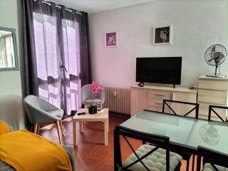 Studio Gréoux les Bains - Gréoux-les-Bains - 8