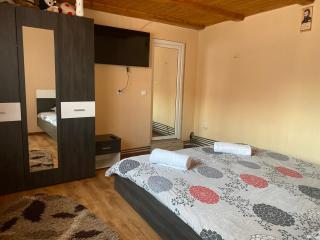 Casa Blendea Daniela - Cîrţişoara - 1