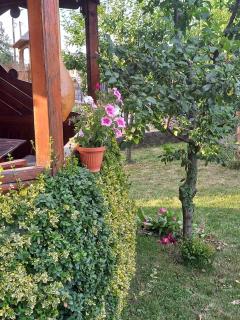 Pensiunea Ghiță Vasile - Vadu Izei - 4