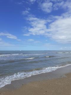 L'annexe - Cabourg - 7