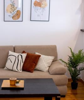 Business and Travel Lounge with Private Parking - Timişoara - 8