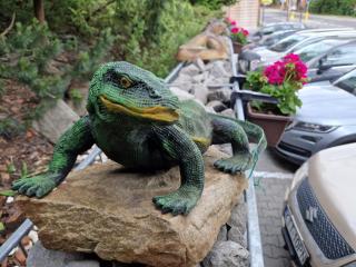 Willa Pod Piórem - 2