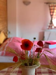 Penzion Selský dvůr Braňany - 4