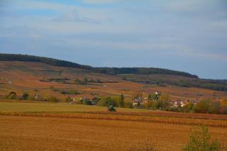 Chateau des Barrigards - 9