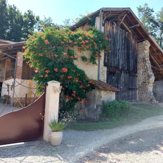 Le Chant de l'Alyte - Lens-Lestang - 2